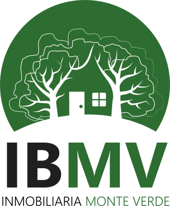 IBMV